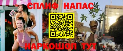 молекула духа Донской