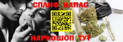 молекула духа Донской
