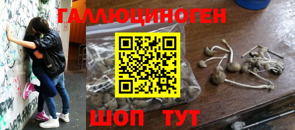 Псилоцибиновые грибы MAGIC MUSHROOMS Арзамас