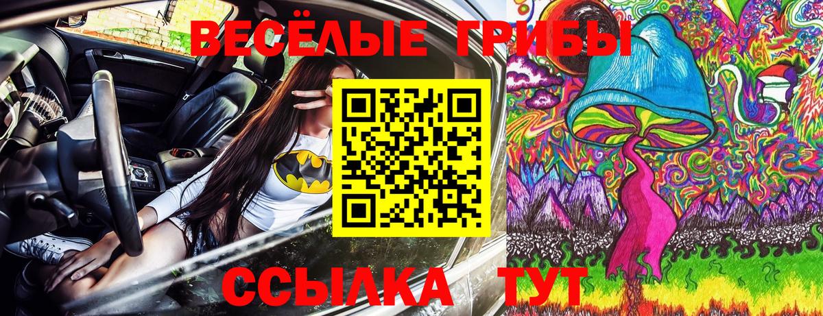 Галлюциногенные грибы MAGIC MUSHROOMS  Вход с VPN  Арзамас 